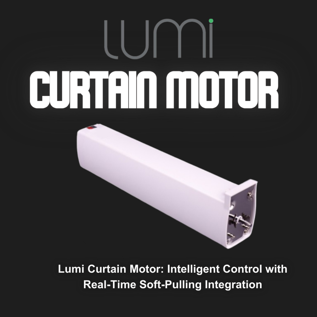 Lumi curtain motor